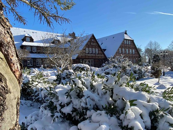 Heiderose_Außenaufnahme_im_Schnee_3_Kopie.jpg 