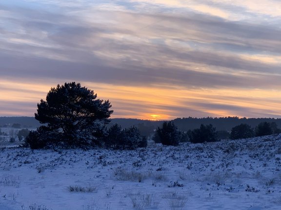 Sonnenuntergang_über_der_verschneiten_Heide_Kopie.jpg 